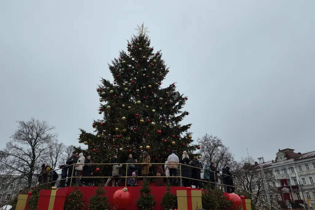 Christmas tree in cathedral square Vilnius Christmas Market