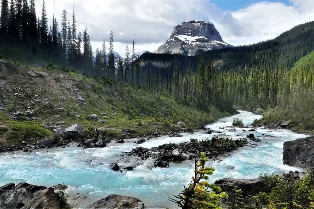 Wapta Mountain Yoho Rockies