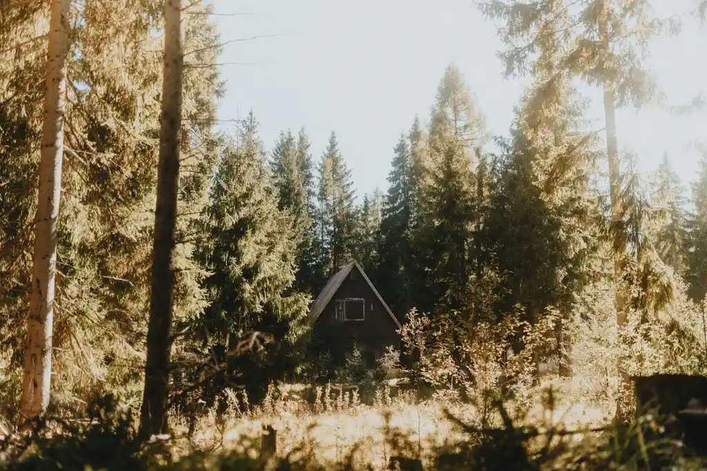 a frame wood cabin