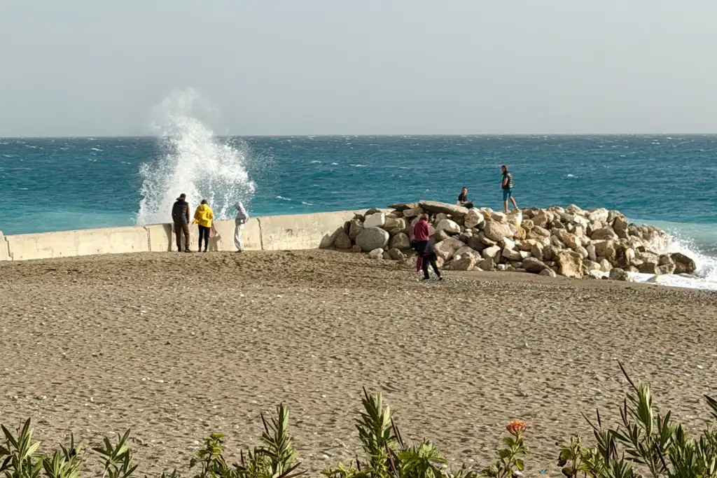 template for web images - 2026-02-04T135717.407