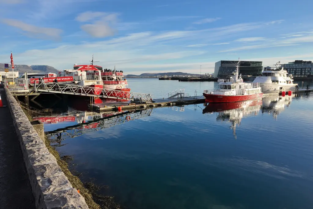 Whale watching boat in Reykjavik Iceland