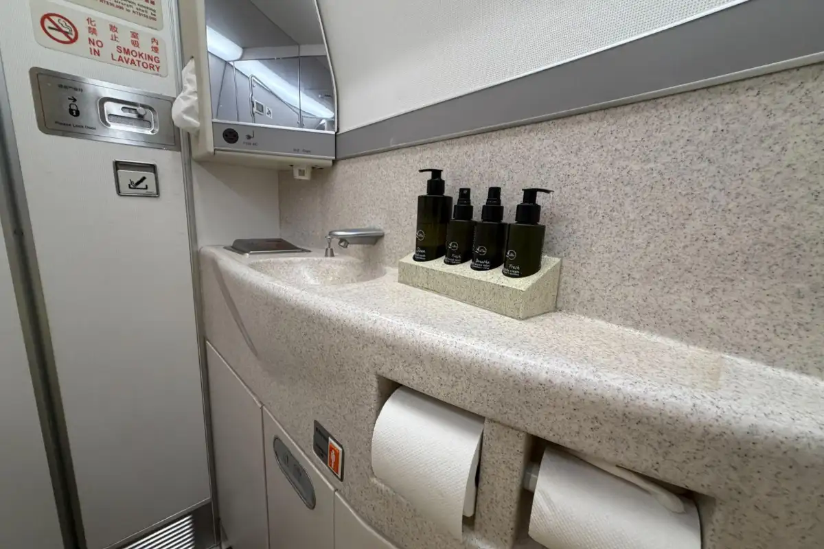 Economy toilet EVA plane sink