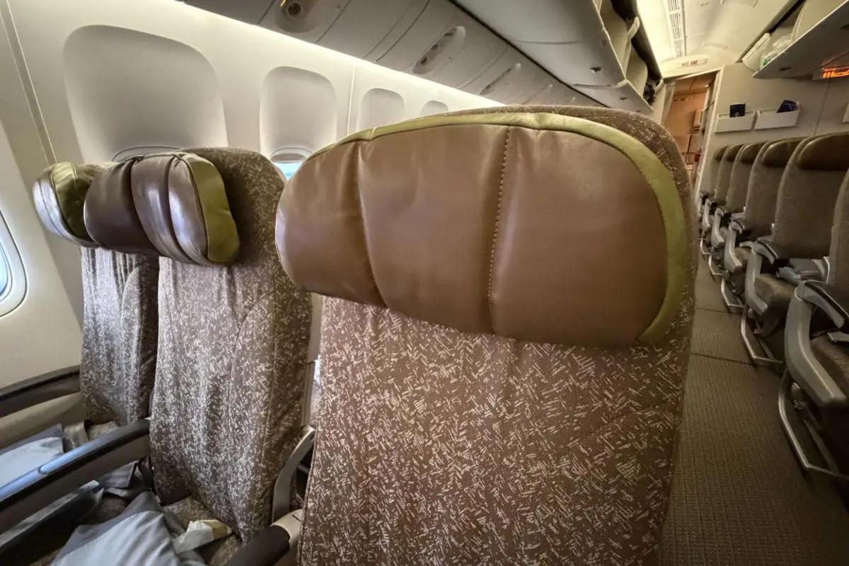 Economy headrest EVA