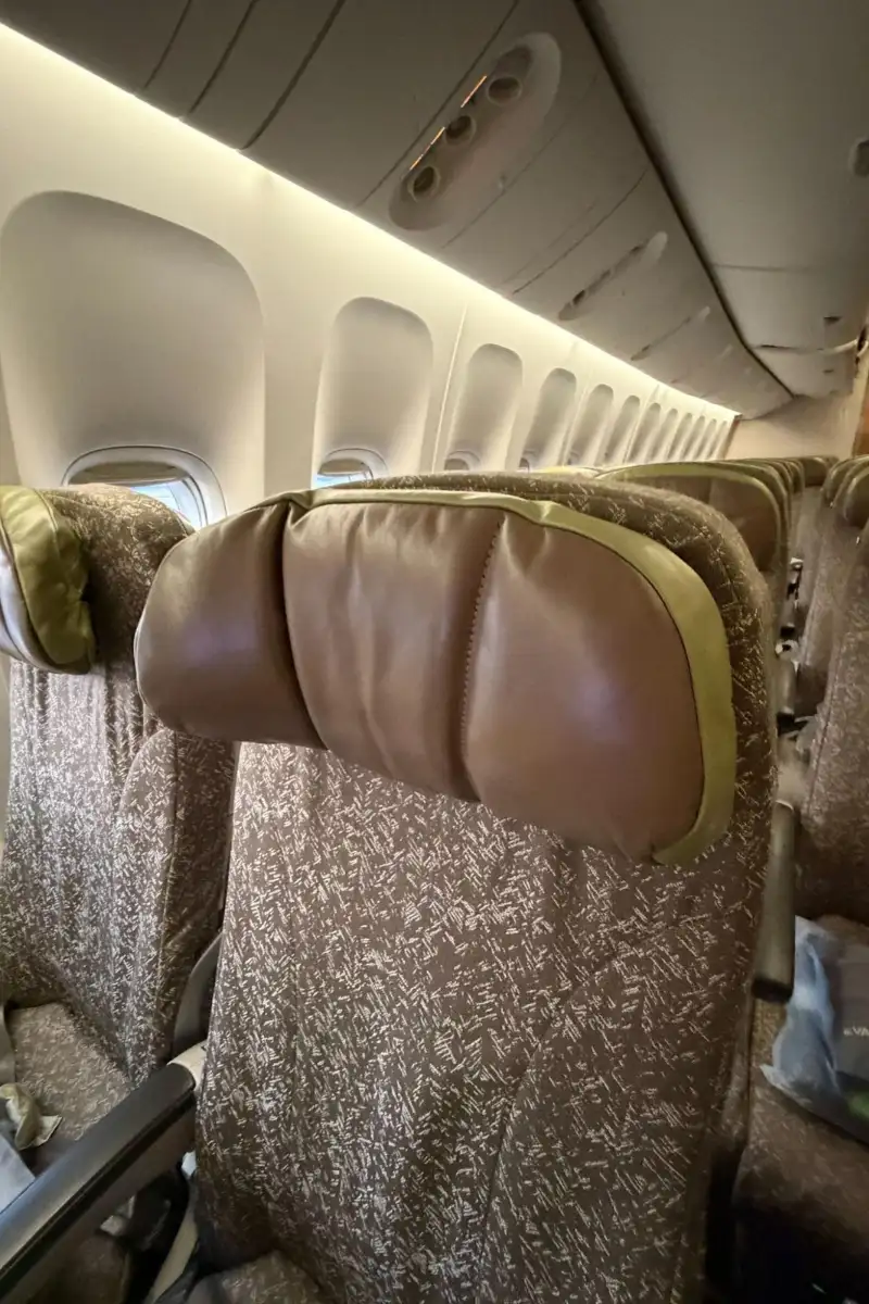 economy eva headrest
