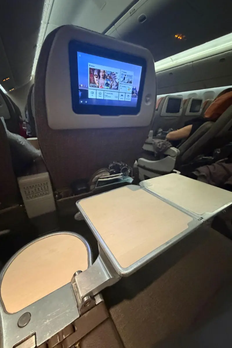 tray table premium economy eva