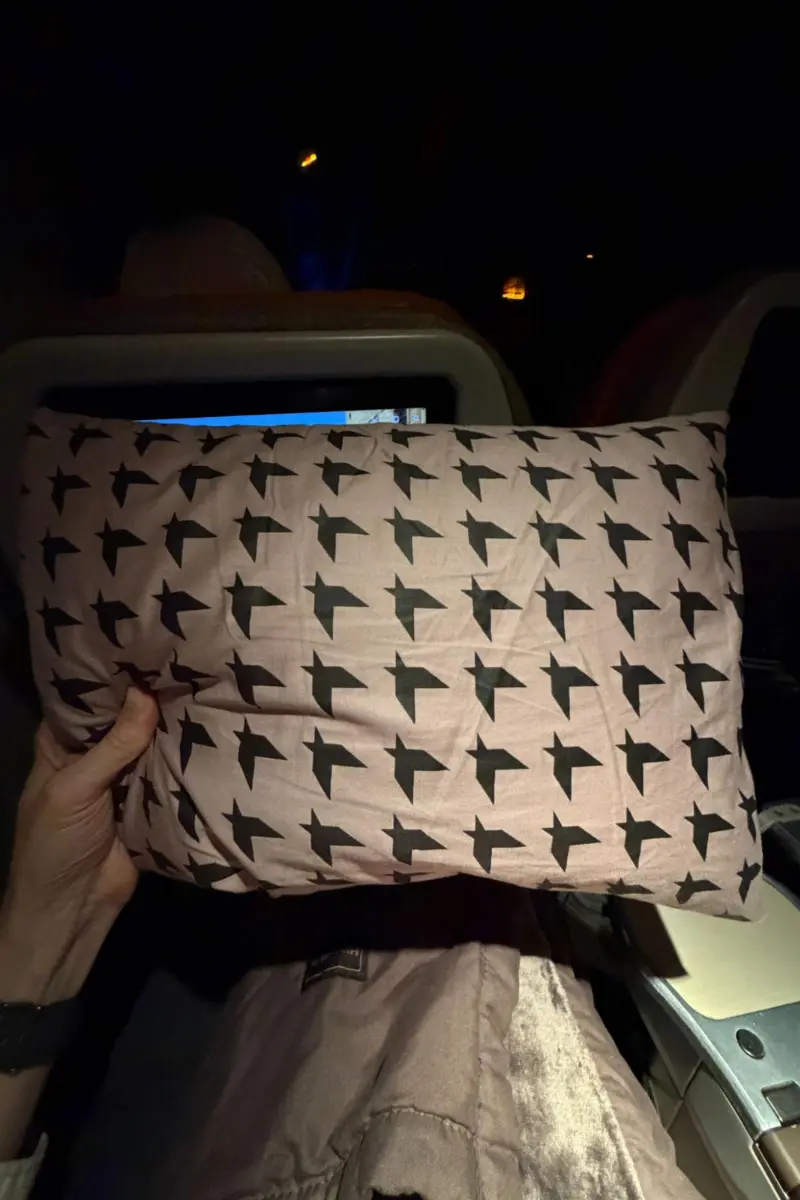 pillow eva premium economy